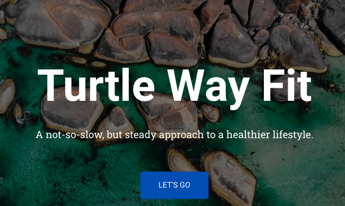 Turtle Way Fit