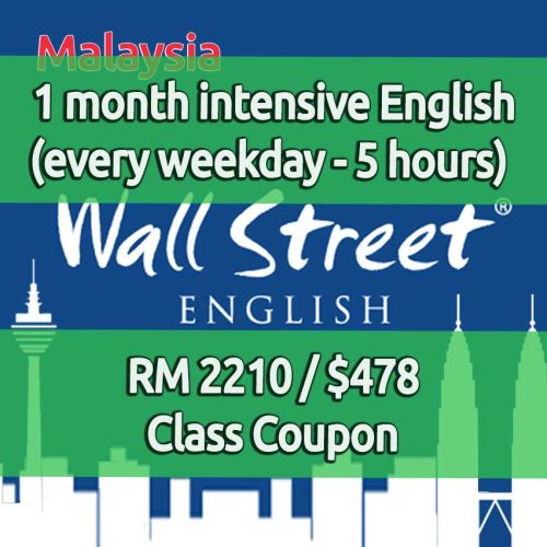 wse-1-month-english-coupon-3